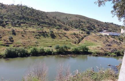 Abetarda CC - Foto 41