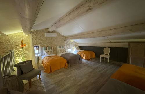 Domaine de la barbeirasse - Foto 73