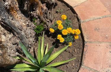 Posada del Moral - Photo 24