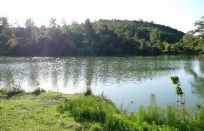 San Bernardino del Lago - Foto 65