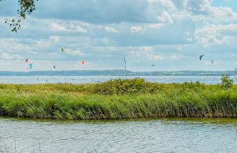 Beach House With 180-Degree Sea View In Karlsminde - Foto 26