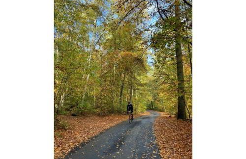 am Schilfweg Comfortable holiday residence - Foto 23