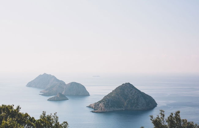 Kadir's Tree Houses - Photo 43