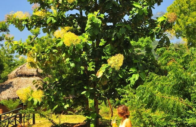 Beddegama Eco - Photo 33