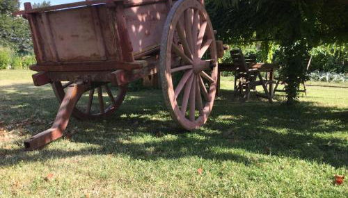 Casa ridente nella valle del Menotre con giardino - Photo 3, Garden view