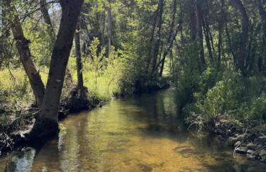 Peppermint Falls Ranch - Foto 10