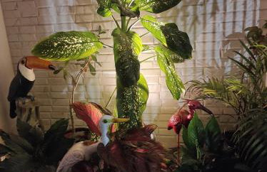 Quarto Marajó 1, próximo ao Aeroporto- cama Casal - Foto 29