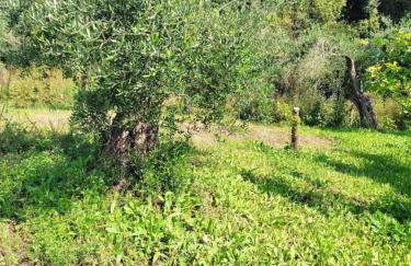 Villa Cottage Eleni - Foto 41