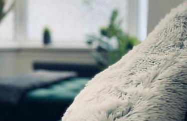 Chapter One - Ashbourne - Foto 16