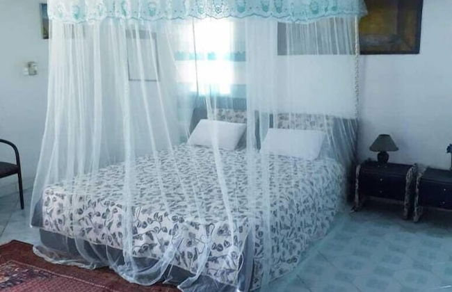 Micmoll Paradise - Photo 4