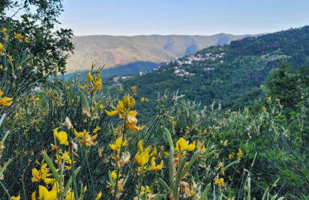 Antoni's House - Photo 17