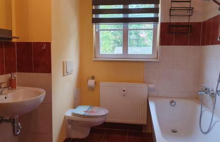 Ferienwohnung Schlossblick Direkt gegenüber dem Schloss, Rhododendronpark mit Terrasse und WLAN - Foto 19