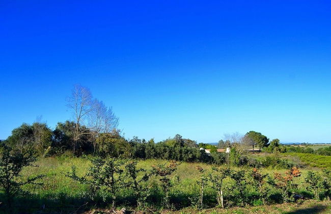 Ars Naturae Biologic Farm - Foto 61