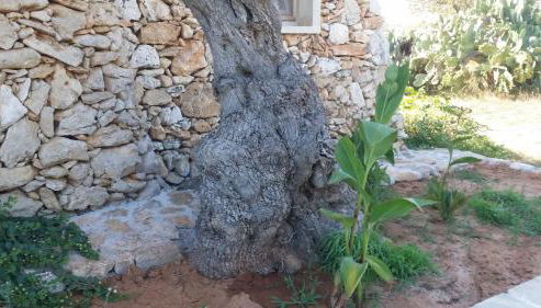 Agriturismo Tenuta La Siesta - Foto 3