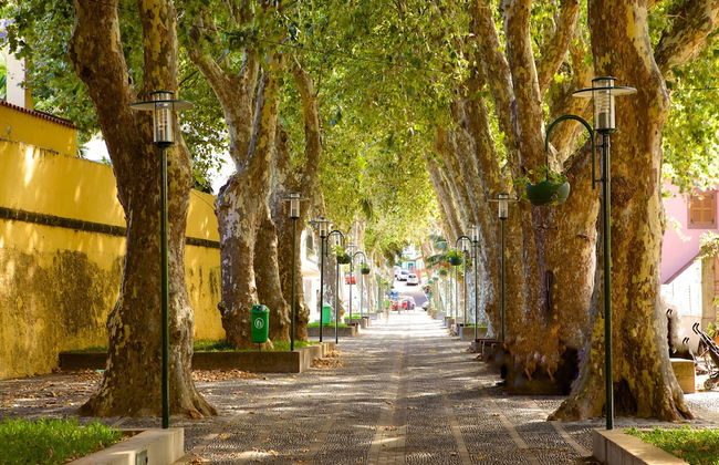 Sunny Beach Machico Apartment - Foto 26