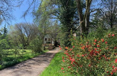 Ferienwohnung in historischer Mühle - Foto 4