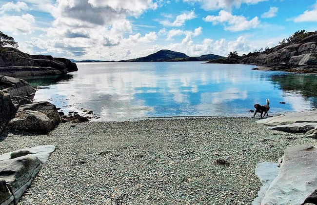 6 Person Holiday Home in Hartbakke - Foto 48