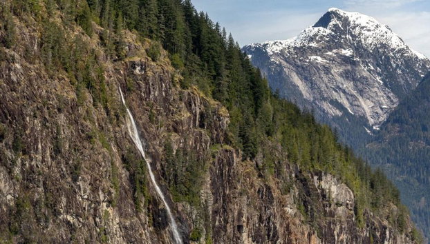 Spring Bear and Water Fall Tour - Foto 2