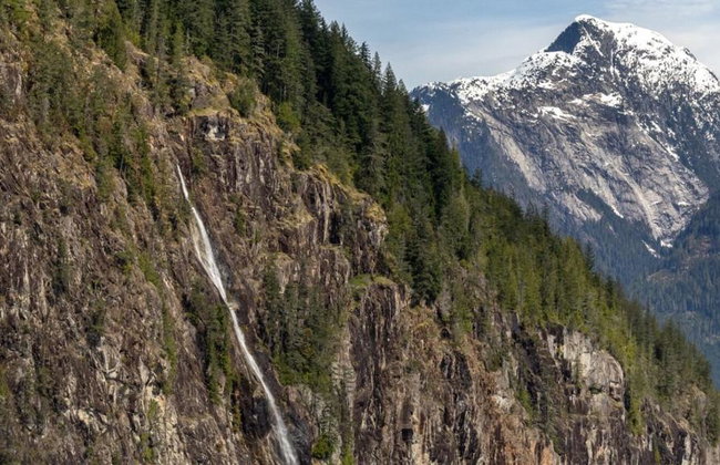 Spring Bear and Water Fall Tour - Foto 2