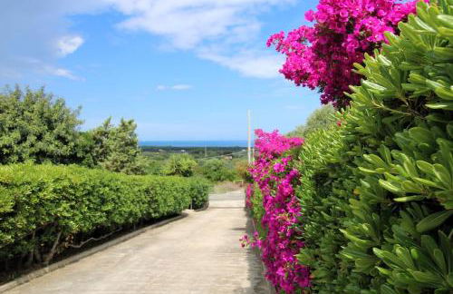 Attico Asinara - Photo 33