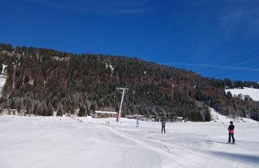 Ferienhof Steurer - Photo 33