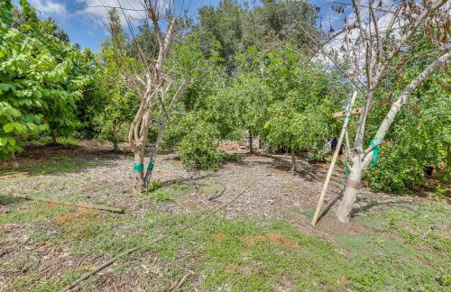 Cozy Escondido Escape Near Hiking and Downtown! - Foto 26