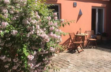 Moderne großzügige Souterrainwohnung Zarrentin Gallin Schaalsee Natur Wald Wasser - Foto 1