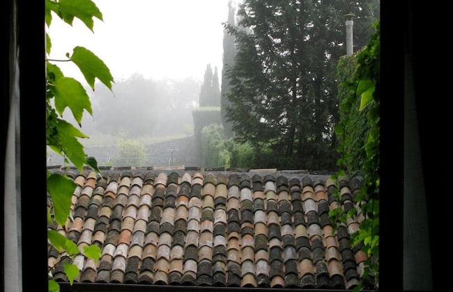 Tenuta Sant'Andrea - Foto 58