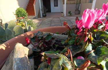 Da Francesca - Foto 16