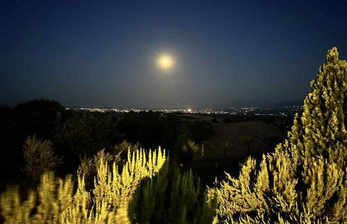 Gaia Olympus Escape - Foto 9