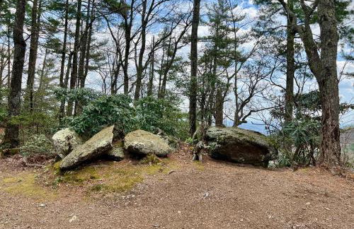 Ridgecrest A Unique Rustic Cabin in Blowing Rock NC - Foto 46