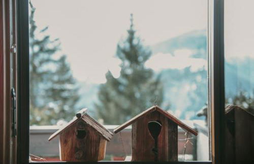 La Tana dell'Orso Bormio - Nature and Welness - Foto 73