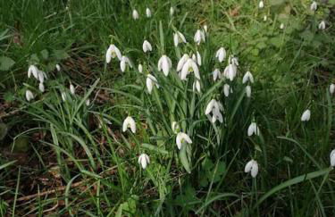 Magnifique lodge dans la forêt de Fontainebleau - Foto 7