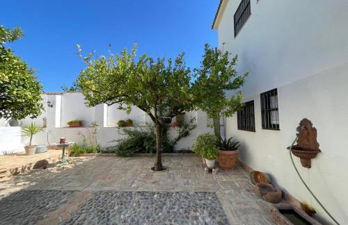 Finca Olivo Llorón - Foto 29