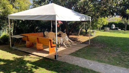 Appartamento in Villa con giardino vicino al mare - Foto 4, Garden