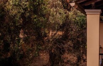 VILLA PARADISE - Foto 13