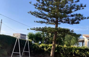 Casa Orchidea Castelluccio - Foto 29