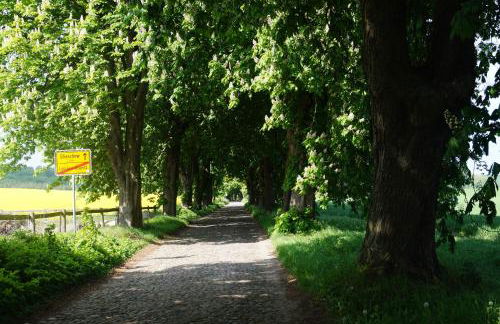 Reethaus im Biosphärenreservat - Foto 18