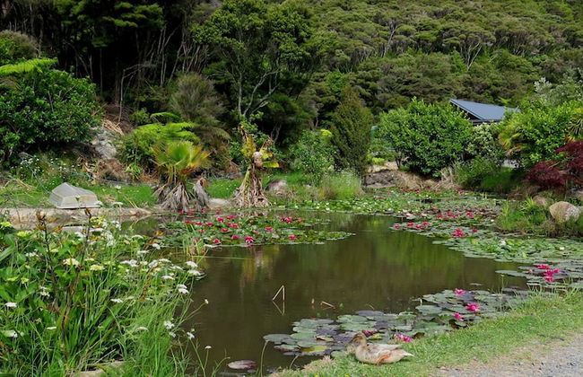 Bay of Islands Holiday Apartments - Foto 56