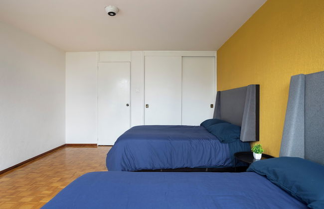 Socrates 378 - Foto 24