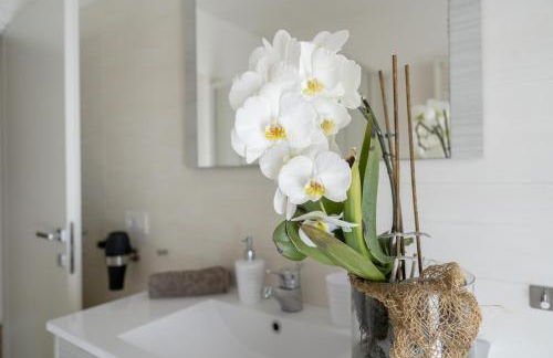 Appartamenti Primiero - Foto 43