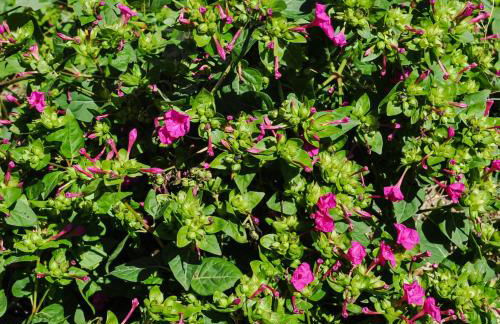 Casa La Sorpresa - Foto 55