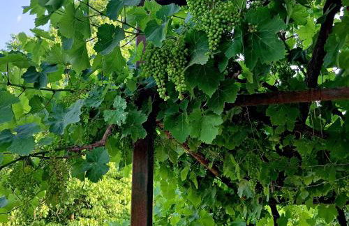 Villaggio traditional living - Foto 32