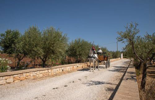 WePuglia - TERRATERRA - Masseria Minunni - Photo 43