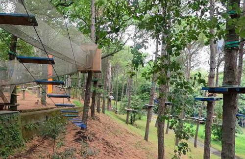 Sicil fiera pochi Min Ct Humanitas Policlinico - Foto 21