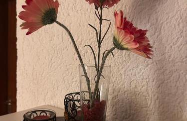 Apartment Rosi SECONDO - Foto 50