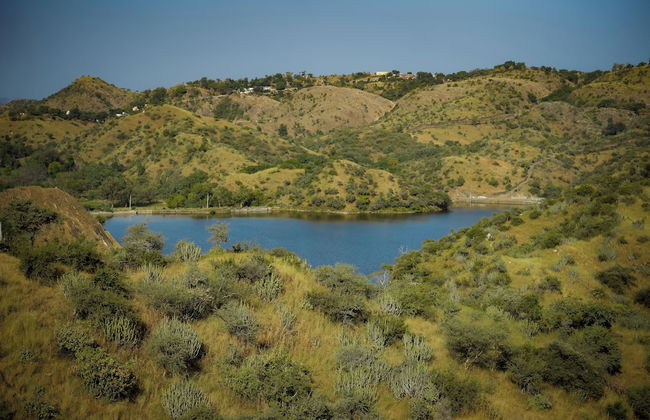 YAAN Estates - Foto 14