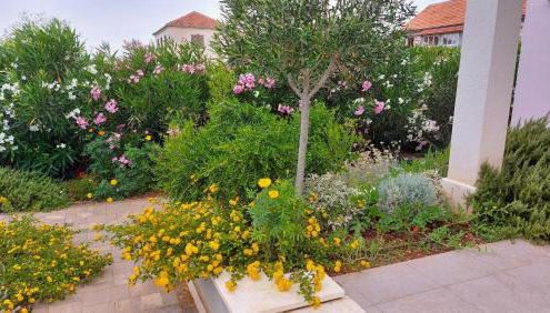 Villa Giove - Photo 2, Garden view