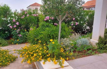 Villa Giove - Photo 2