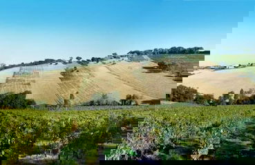 La Vita Nuova - Foto 40